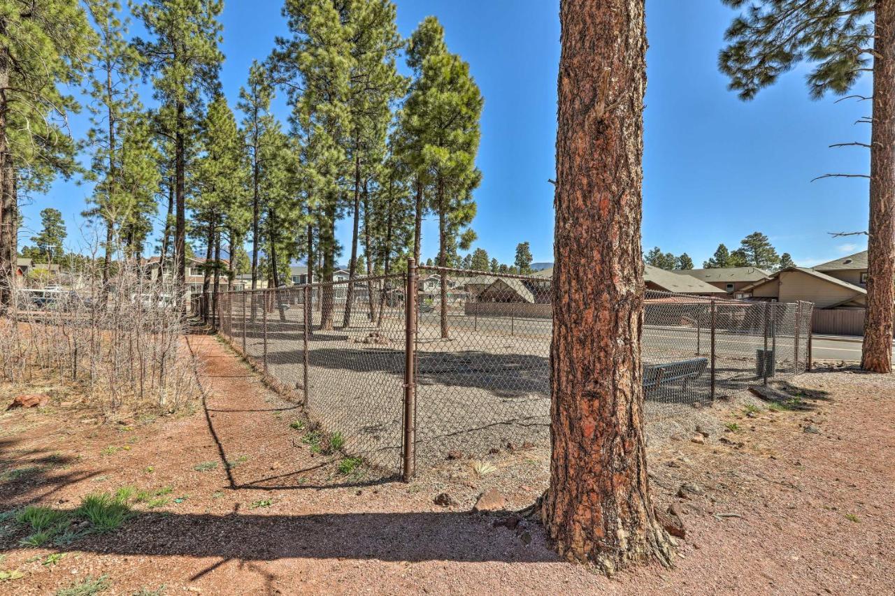 Modern Flagstaff Home, 4 Mi To Downtown! Dış mekan fotoğraf